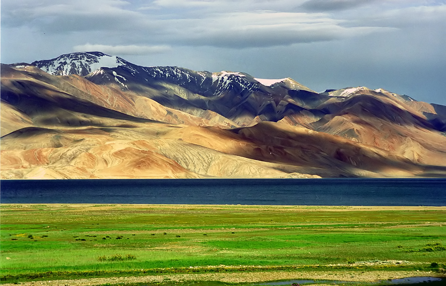 Karakoram-West_Tibetan_Plateau_alpine_steppe